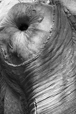 Intimacy 5